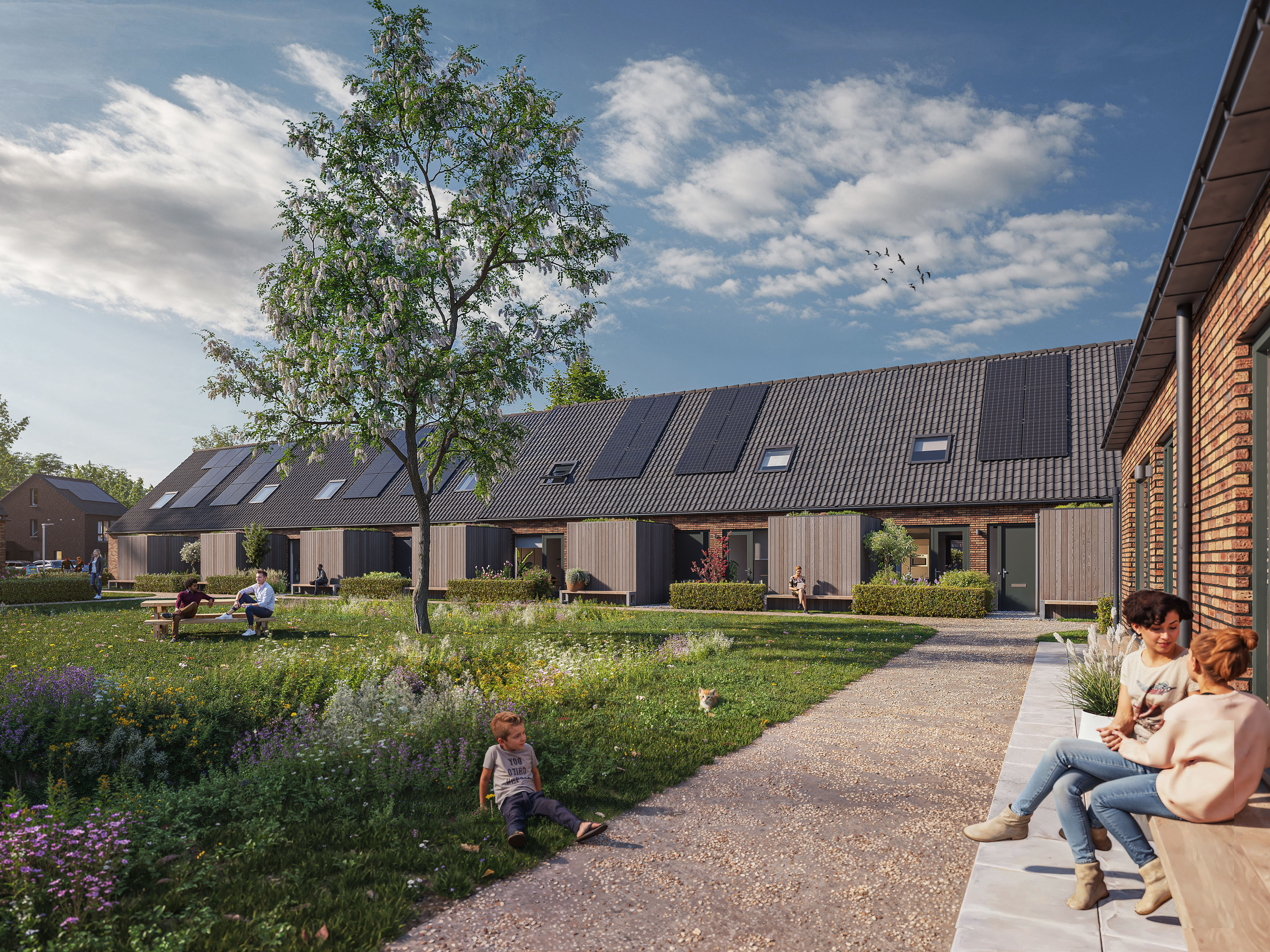 Nieuwbouw Swifterbant T Luweland In De Luwte Fase 3 Levensloop Hofwoning Bwnr 401 Tm 408 2048 X 1536